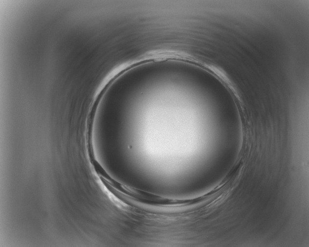 X0000081421438200701191544