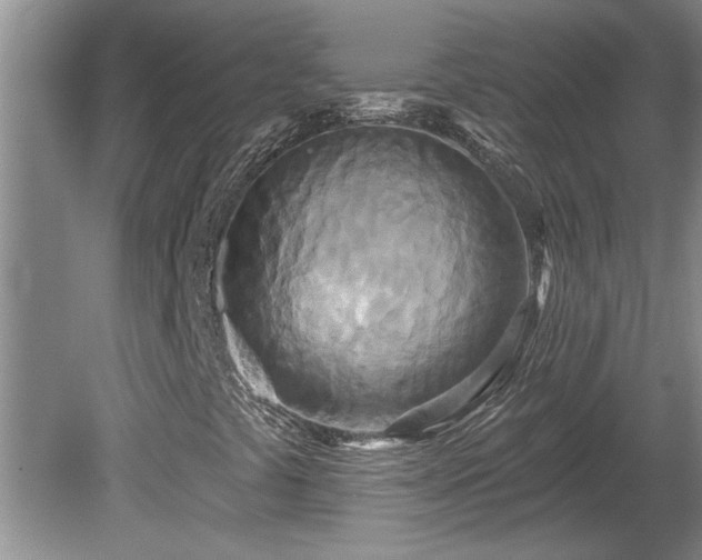 X0000081421441200701191544