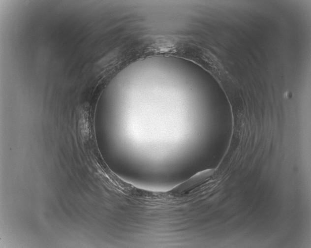 X0000081421442200701191543