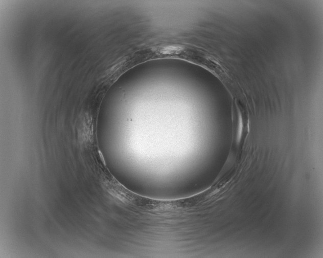 X0000081421443200701191543