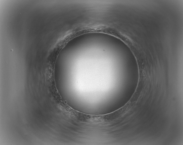 X0000081421447200701191543