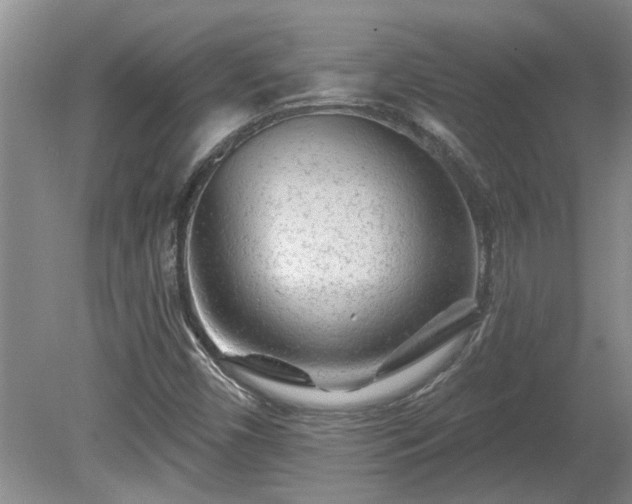 X0000081421450200701191543