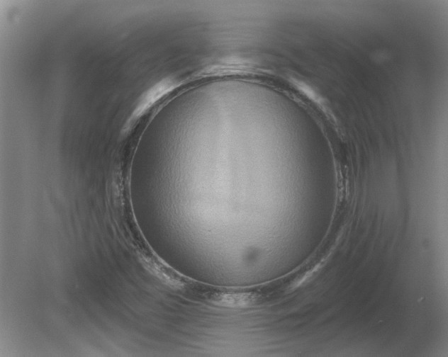 X0000081421453200701191543