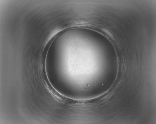 X0000081421458200701191543