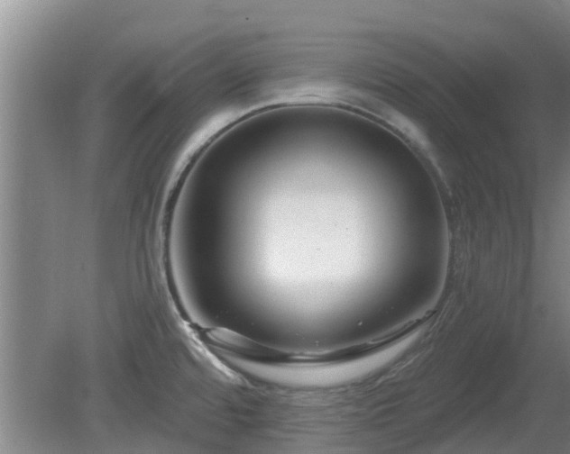 X0000081421480200701191543