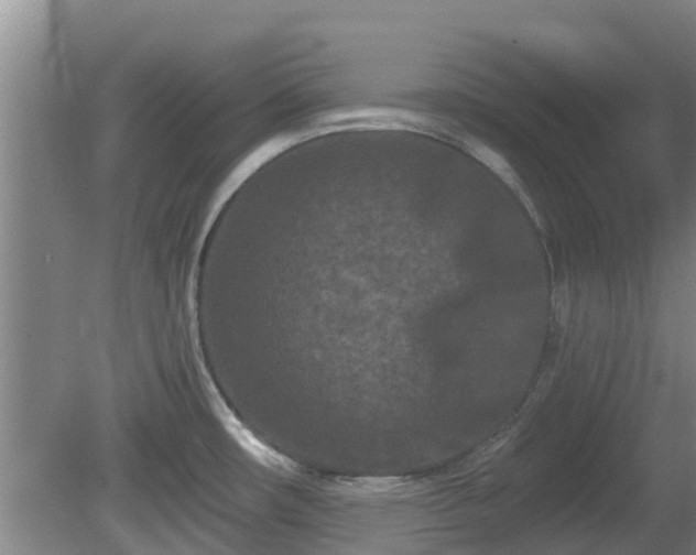 X0000081421482200701191543