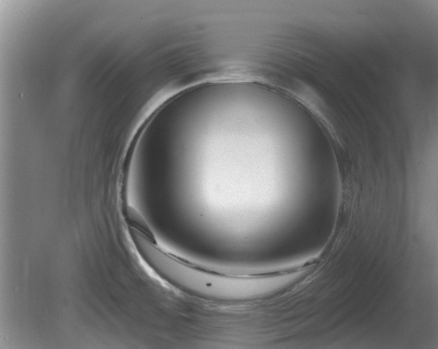 X0000081421484200701191543
