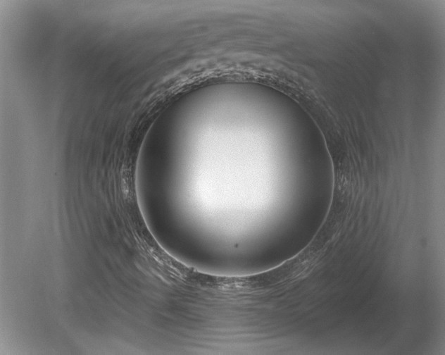 X0000081421490200701191542