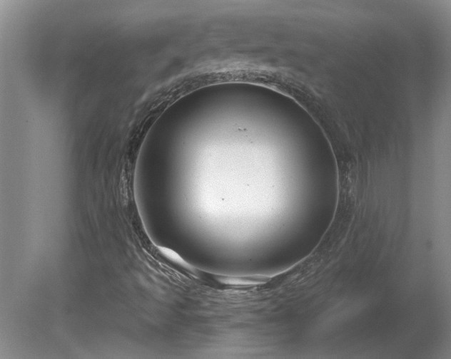 X0000081421493200701191542