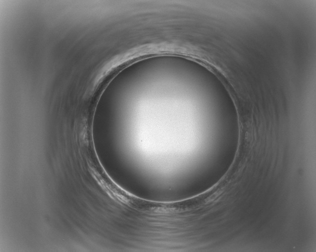 X0000081421499200701191542