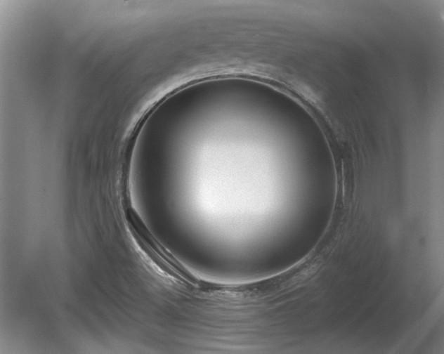 X0000081421500200701191542