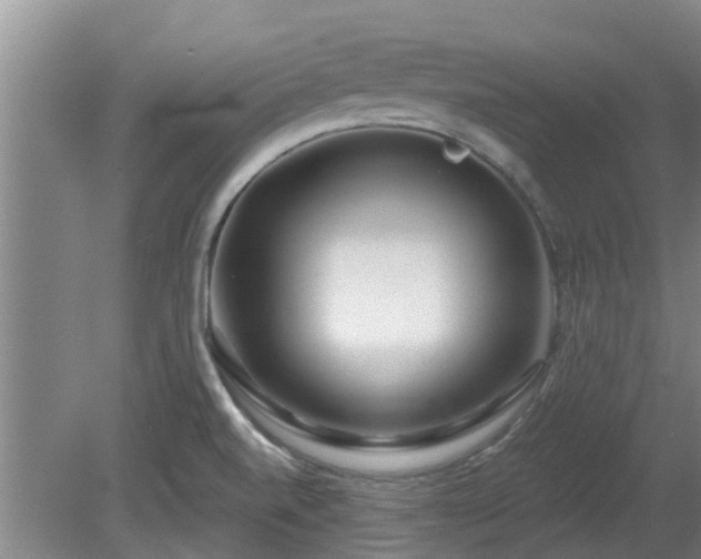 X0000081421520200701191542