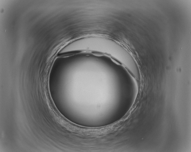 X0000081420001200701261605