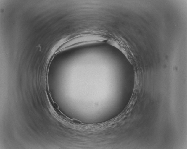 X0000081420003200701261605