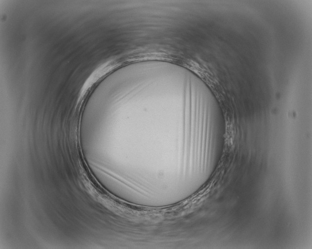 X0000081420004200701261605