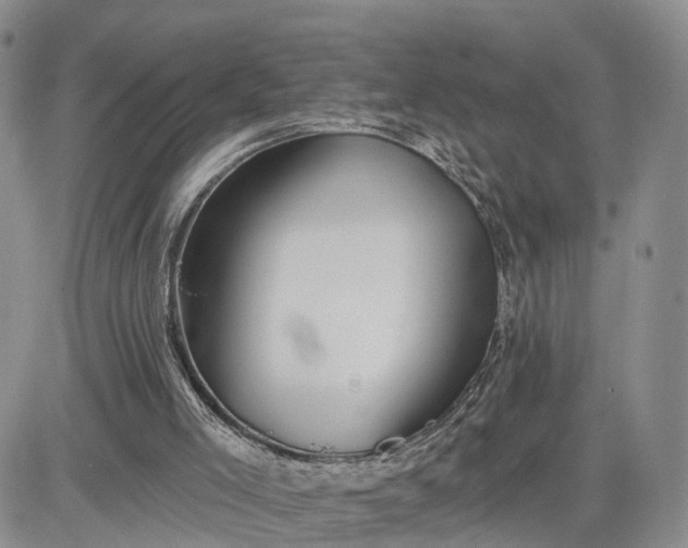 X0000081420005200701261605