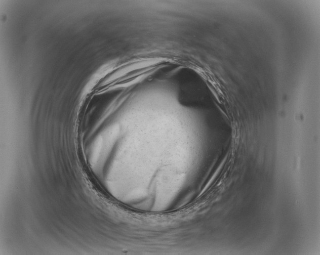 X0000081420006200701261605