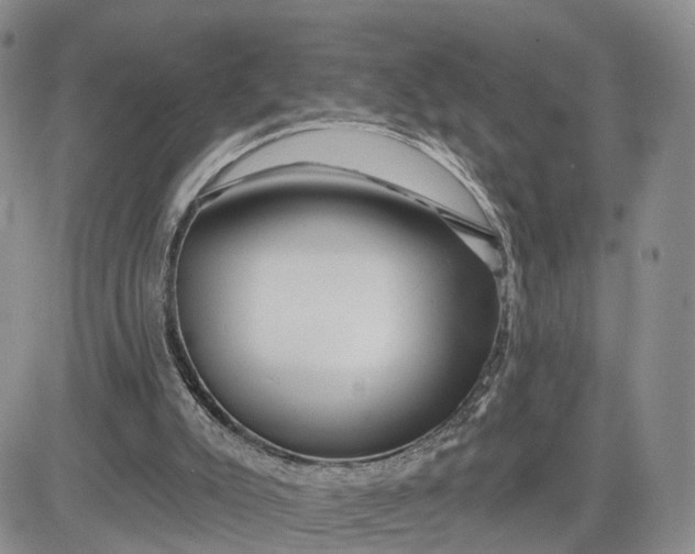 X0000081420007200701261605