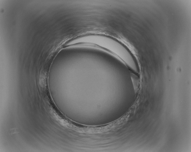 X0000081420009200701261605