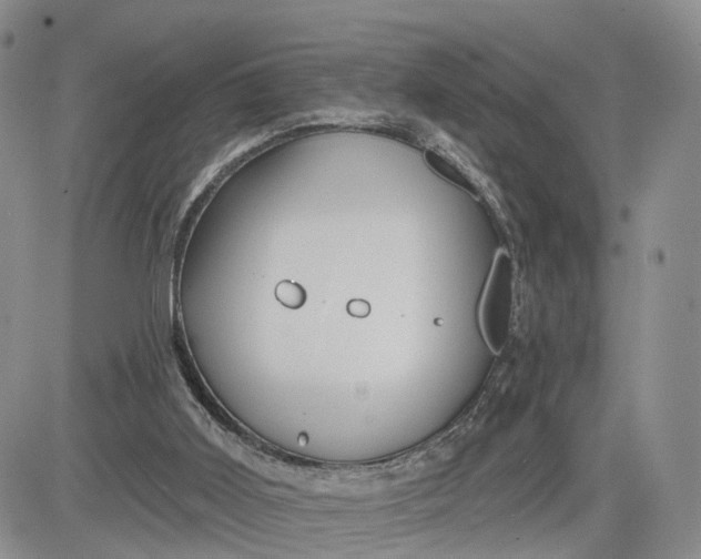 X0000081420011200701261605