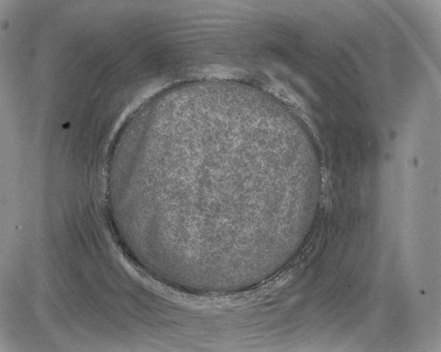 X0000081420012200701261605