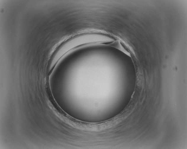 X0000081420015200701261605