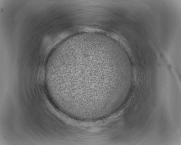 X0000081420016200701261605