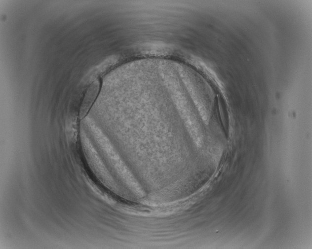 X0000081420017200701261605