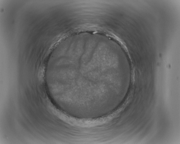 X0000081420018200701261605