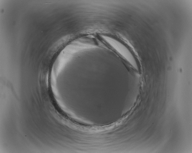 X0000081420019200701261605