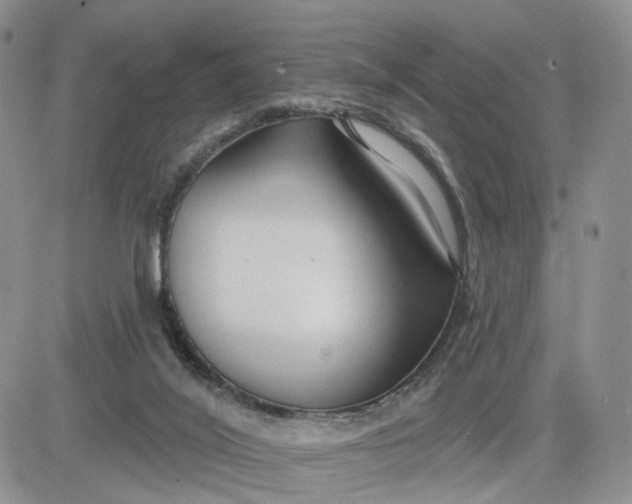 X0000081420020200701261605