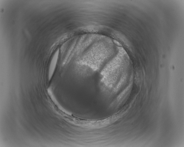 X0000081420023200701261605