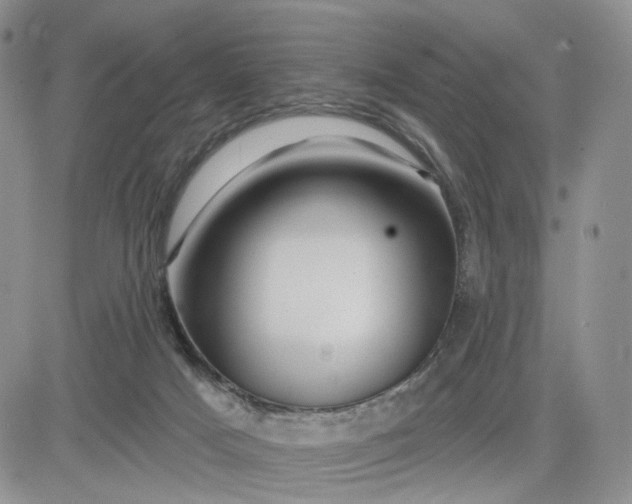 X0000081420025200701261605