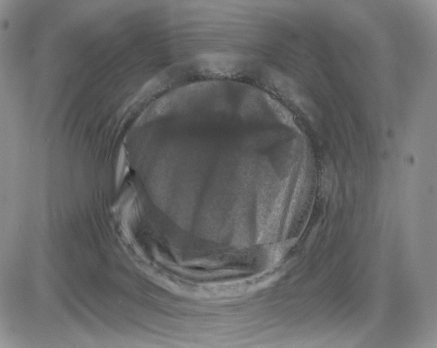 X0000081420027200701261605