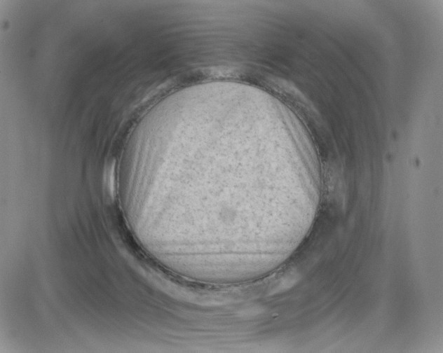 X0000081420028200701261605