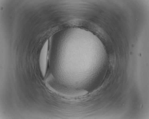 X0000081420029200701261605