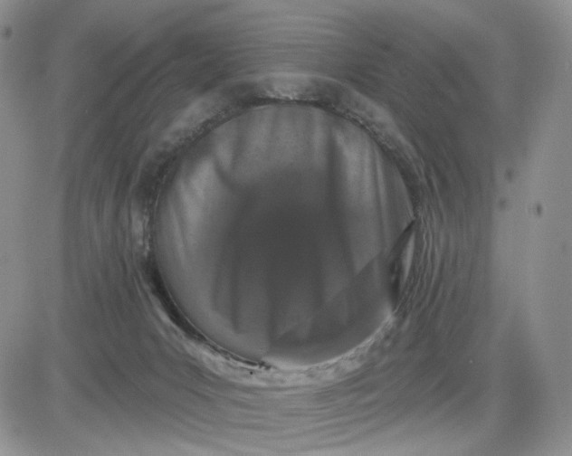 X0000081420031200701261605