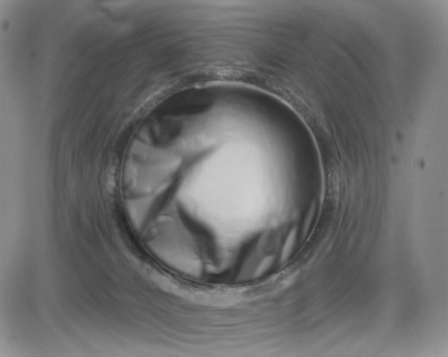 X0000081420032200701261605