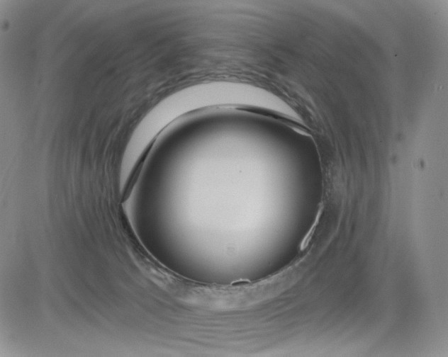 X0000081420033200701261605