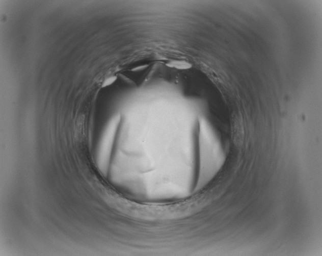 X0000081420034200701261605