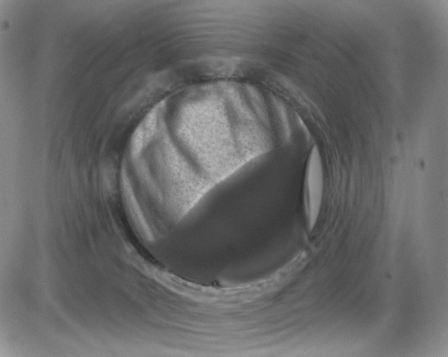 X0000081420035200701261605