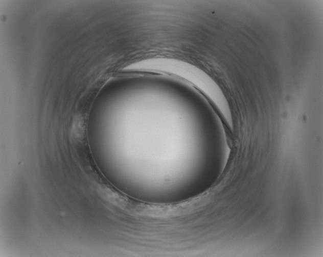 X0000081420037200701261605