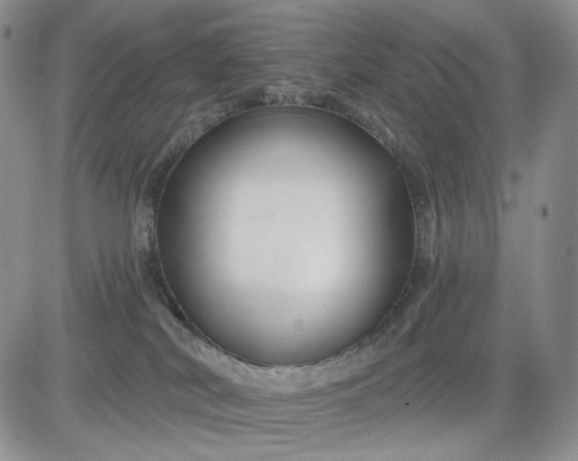 X0000081420038200701261605