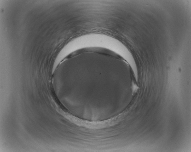 X0000081420039200701261605