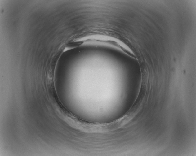 X0000081420040200701261605