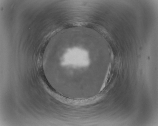 X0000081420043200701261605