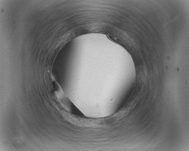 X0000081420044200701261605