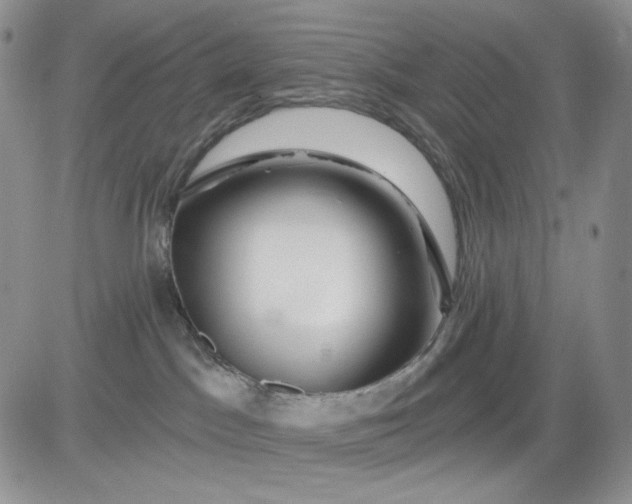 X0000081420045200701261605