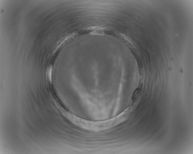 X0000081420047200701261605