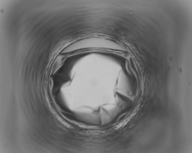 X0000081420049200701261604